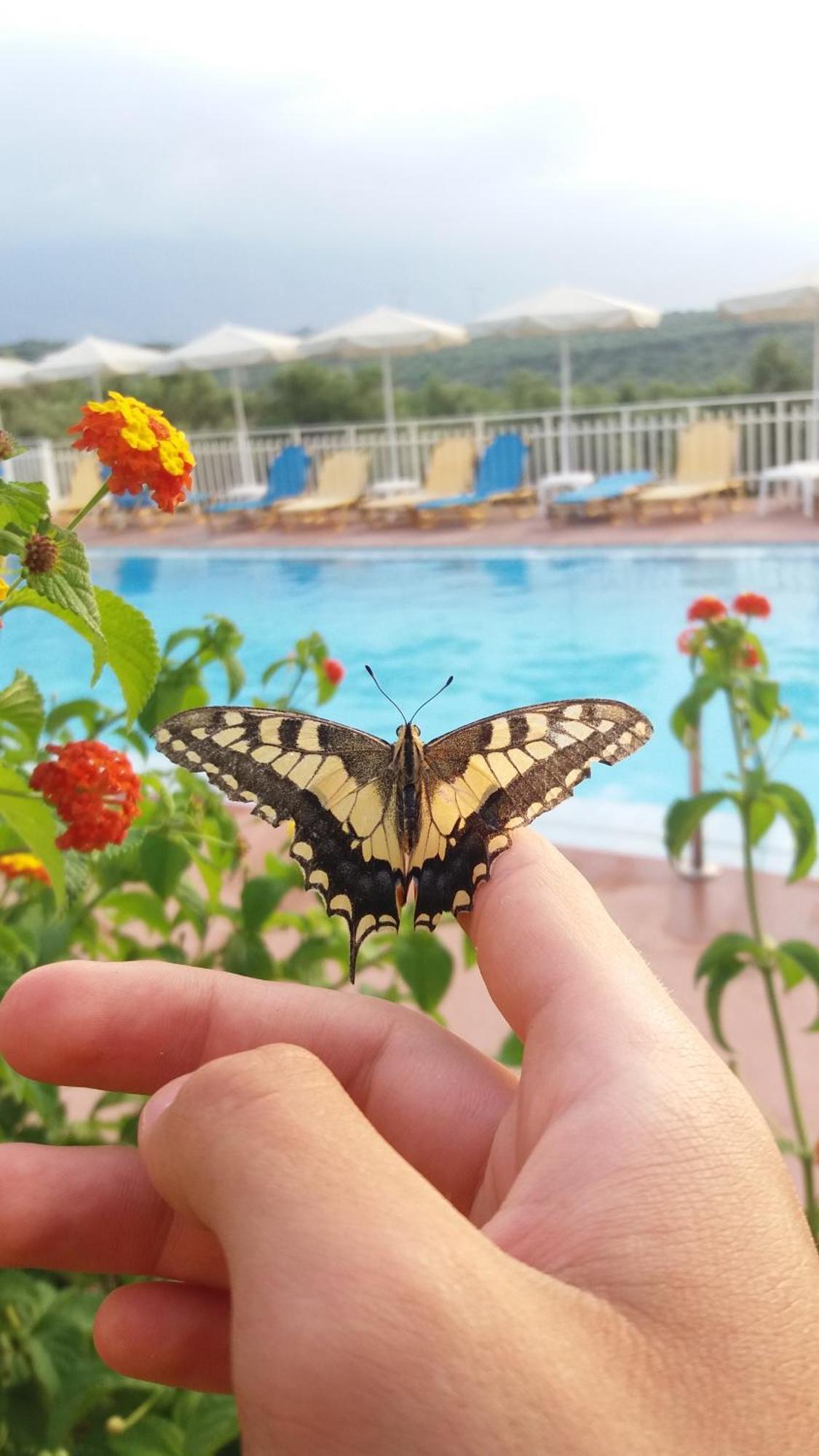 Calamon Apartments Episkopi-Chania Eksteriør bilde