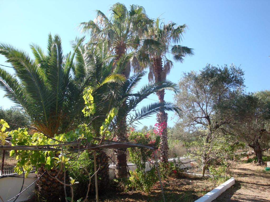 Calamon Apartments Episkopi-Chania Eksteriør bilde