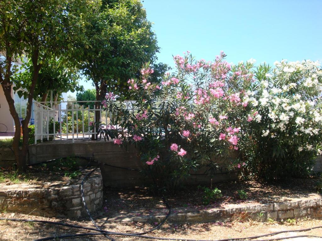 Calamon Apartments Episkopi-Chania Eksteriør bilde