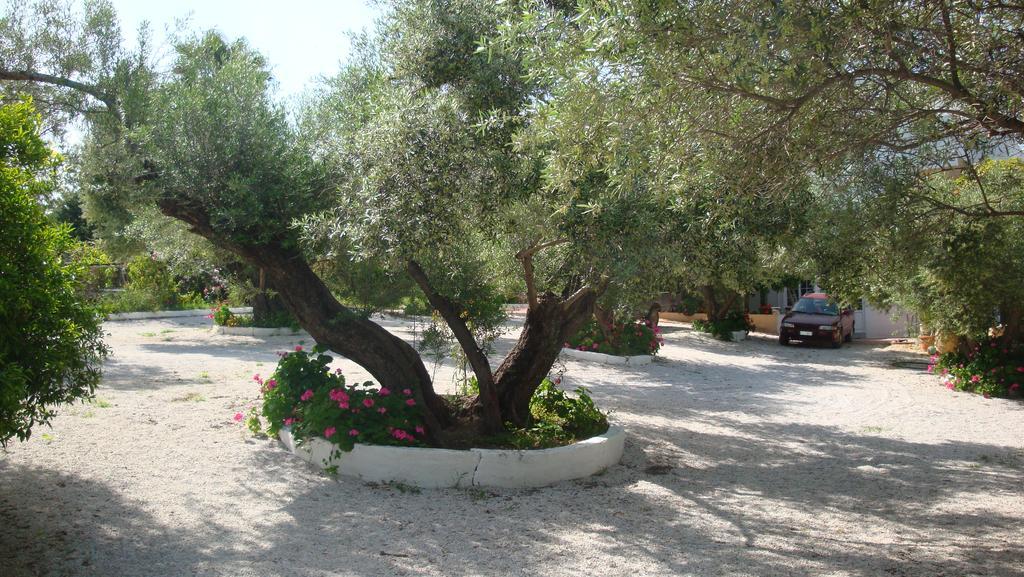 Calamon Apartments Episkopi-Chania Eksteriør bilde
