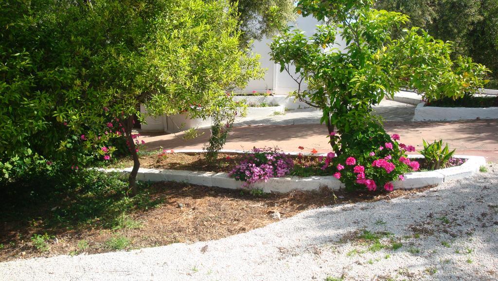 Calamon Apartments Episkopi-Chania Eksteriør bilde