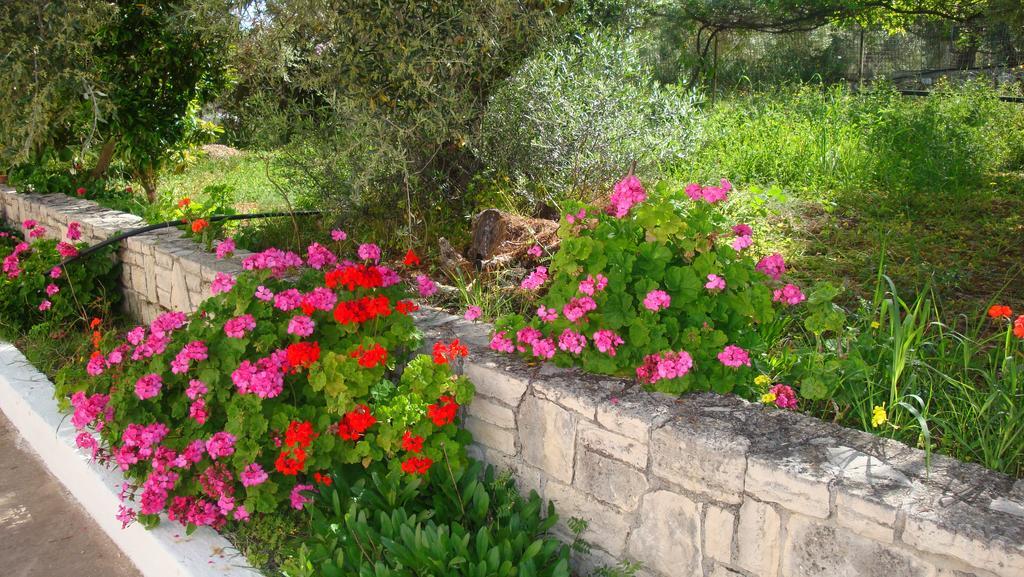 Calamon Apartments Episkopi-Chania Eksteriør bilde
