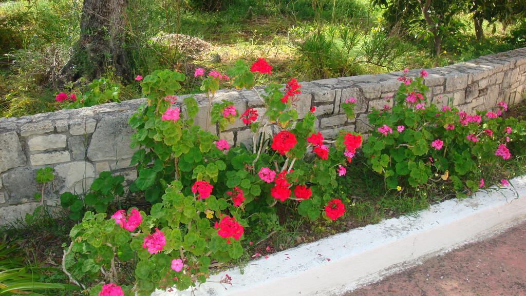 Calamon Apartments Episkopi-Chania Eksteriør bilde