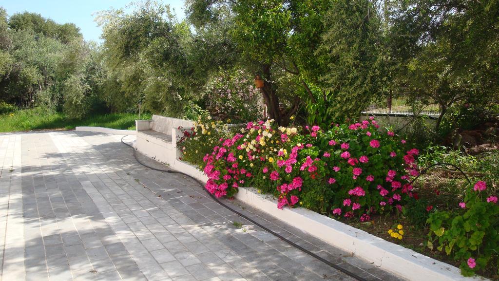 Calamon Apartments Episkopi-Chania Eksteriør bilde