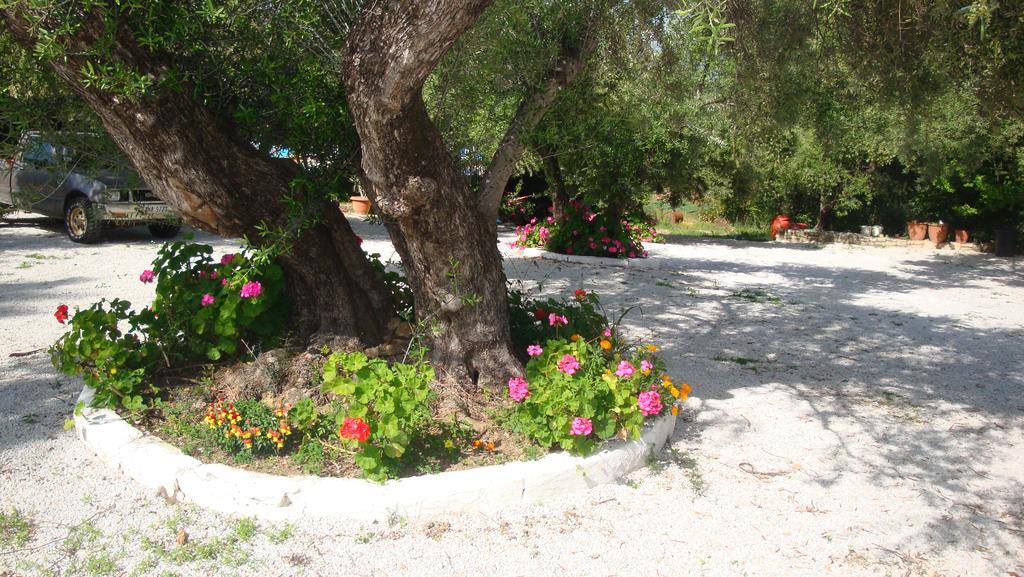 Calamon Apartments Episkopi-Chania Eksteriør bilde