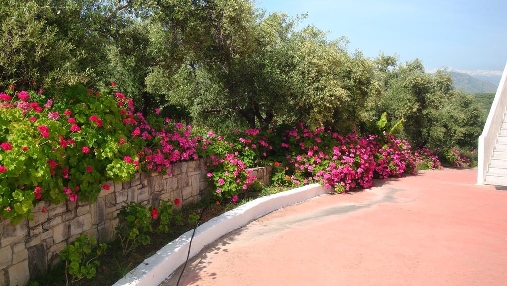 Calamon Apartments Episkopi-Chania Eksteriør bilde